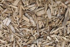biomass boilers Fulney